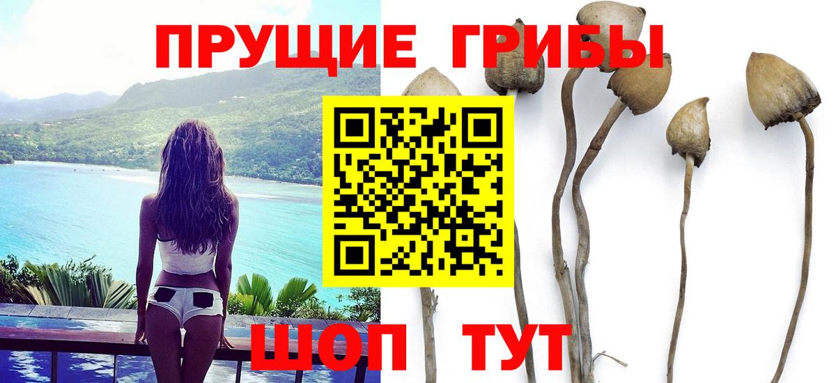 Псилоцибиновые грибы ЛСД  Вход с VPN  Отрадное 